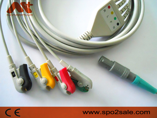 Petas 165R, 260R, 300, K-250, cavo connessione diretta compatibile di KMA160R ECG